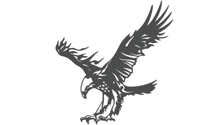 naklejka-orzel-2-grafitowa.jpg