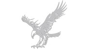 naklejka-orzel-2-jasny-szary.jpg