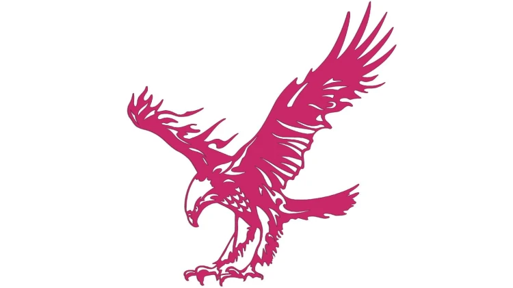naklejka-orzel-2-rozowa.jpg