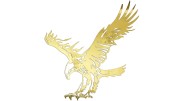 naklejka-orzel-2-zloty-chrom.jpg