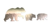 naklejka-niedzwiedzica-i-niedzwiadki-chrom.jpg