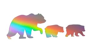 NIEDŹWIEDZICA I NIEDŹWIADKI - holograficzna