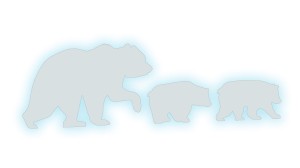 NIEDŹWIEDZICA I NIEDŹWIADKI - kolory odblaskowe