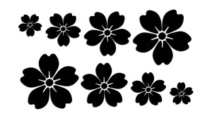 KWIAT WIŚNI 8 SZTUK - JAPONIA - kolory - połysk/mat