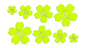 KWIAT WIŚNI 8 SZTUK - JAPONIA - kolory neonowe