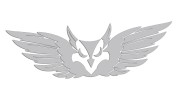 naklejka-gryf-orzel-front-jasny-szary.jpg