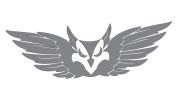 naklejka-gryf-orzel-front-szara.jpg