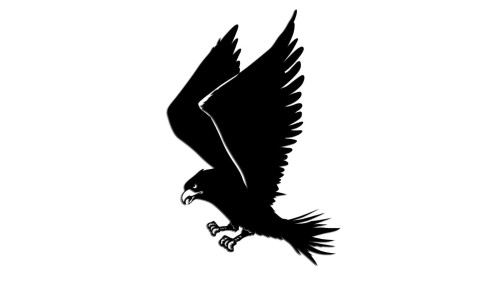 naklejka-ladujacy-orzel.jpg