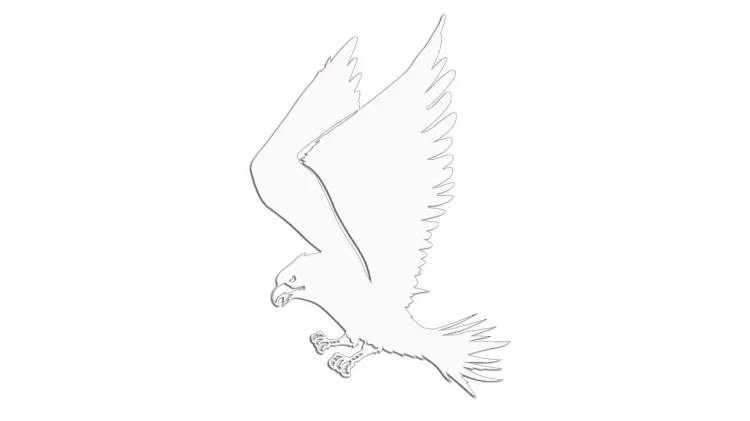 naklejka-ladujacy-orzel-biala.jpg