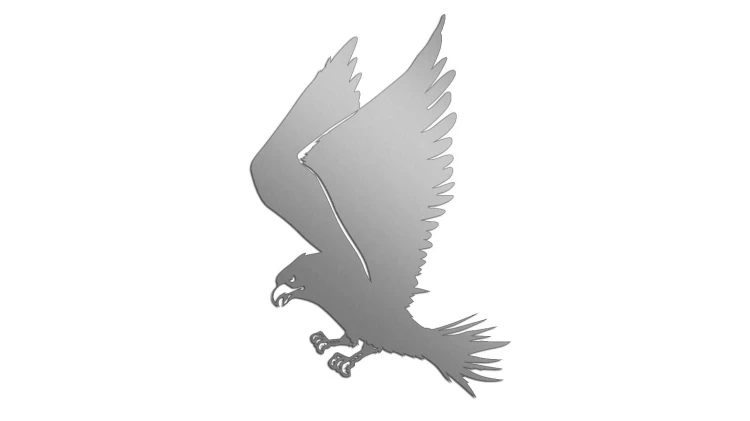 naklejka-ladujacy-orzel-srebrna.jpg