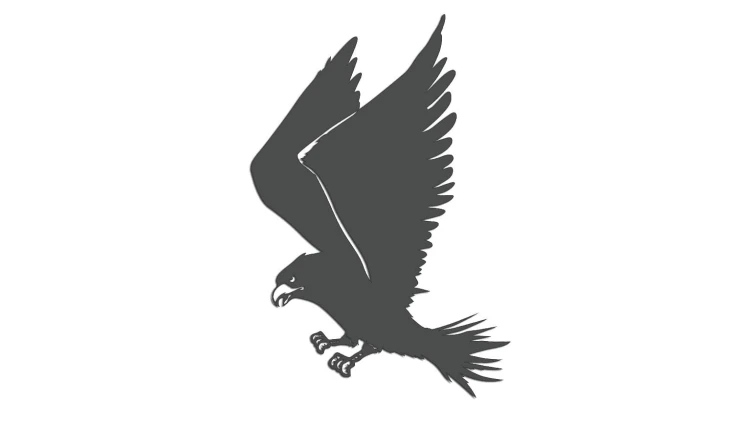 naklejka-ladujacy-orzel-grafitowa.jpg