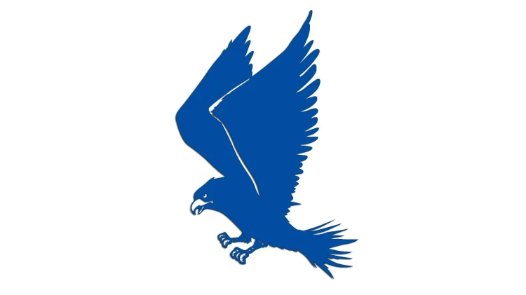 naklejka-ladujacy-orzel-niebieska.jpg
