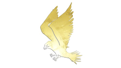 naklejka-ladujacy-orzel-zloty-chrom.jpg