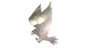 LĄDUJĄCY ORZEŁ - kolory - chrom