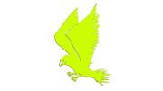 naklejka-ladujacy-orzel-zolta-neon.jpg