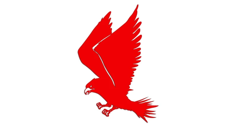 naklejka-ladujacy-orzel-czerwona-neon.jpg