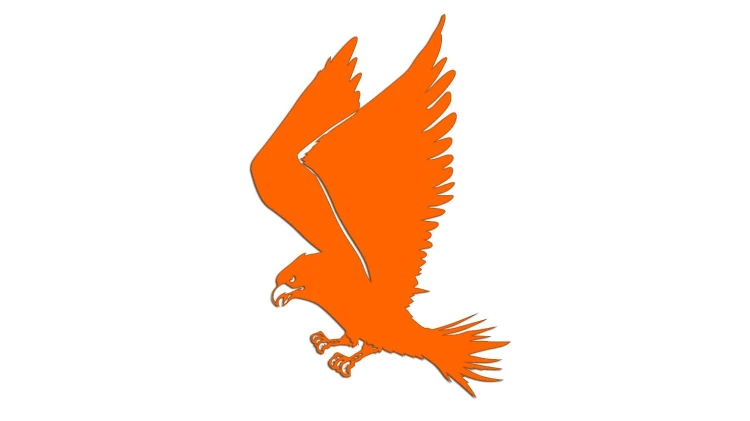 naklejka-ladujacy-orzel-pomaranczowa-neon.jpg