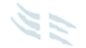 PAZUR DRAP RYSA PODZIELONY - DWIE CZĘŚCI - kolory odblaskowe