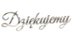 NAPIS DZIĘKUJEMY - ŚLUB - WESELE - kolory - chrom