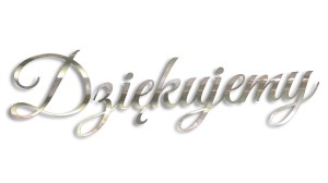 NAPIS DZIĘKUJEMY - ŚLUB - WESELE - kolory - chrom