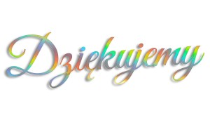 NAPIS DZIĘKUJEMY - ŚLUB - WESELE - holograficzna