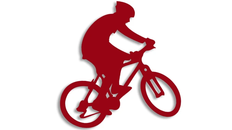 naklejka rower mtb 2 bordowa.jpg