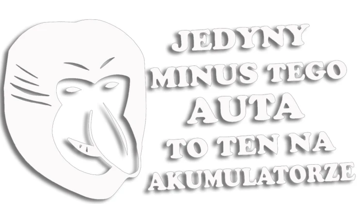 naklejka-janusz-nosacz-jedyny-minus-tego-auta-to-ten-na-akumulatorze-biala.jpg