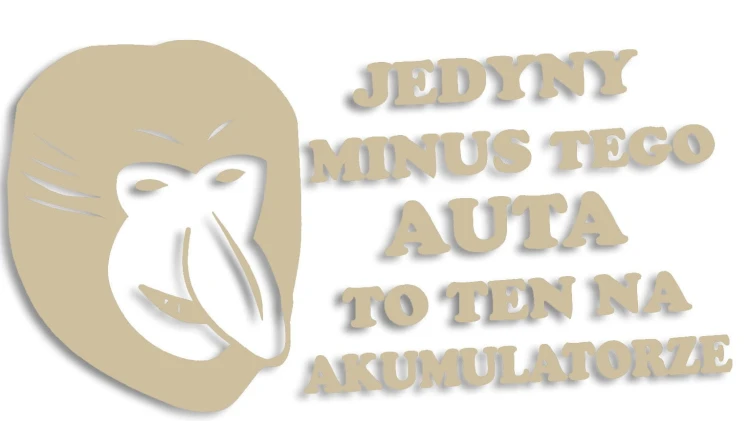 naklejka janusz nosacz jedyny minus bezowa.jpg