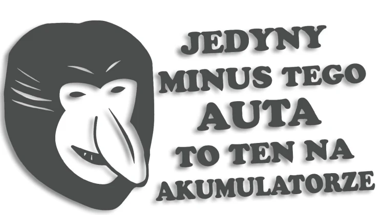 naklejka janusz nosacz jedyny minus grafitowa.jpg