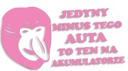 naklejka-janusz-nosacz-jedyny-minus-tego-auta-to-ten-na-akumulatorze-jasny-rozowy.jpg