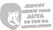 naklejka-janusz-nosacz-jedyny-minus-tego-auta-to-ten-na-akumulatorze-jasny-szary.jpg