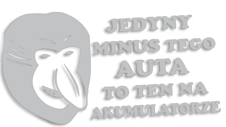 naklejka-janusz-nosacz-jedyny-minus-tego-auta-to-ten-na-akumulatorze-jasny-szary.jpg
