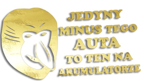 naklejka-janusz-nosacz-jedyny-minus-tego-auta-to-ten-na-akumulatorze-zloty-chrom.jpg