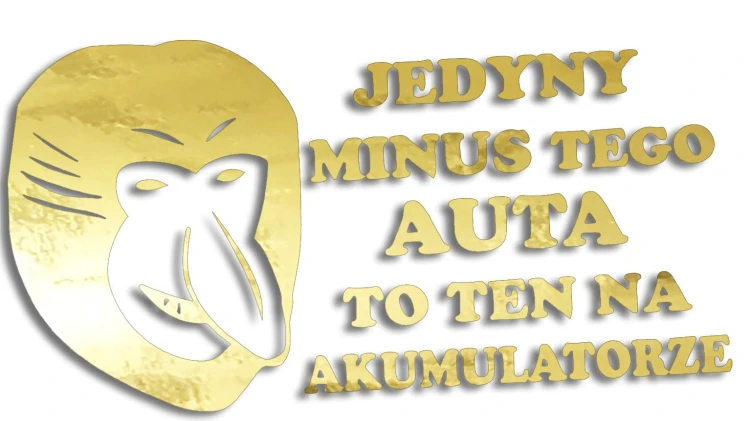 naklejka-janusz-nosacz-jedyny-minus-tego-auta-to-ten-na-akumulatorze-zloty-chrom.jpg