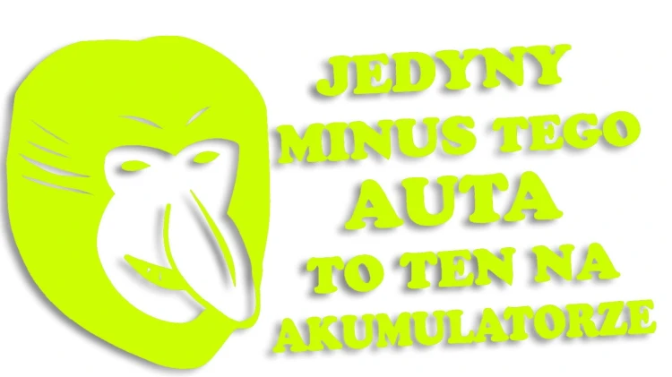 naklejka janusz nosacz jedyny minus zolty fluo.jpg