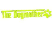 naklejka-the-dogmother-zolta-neon.jpg