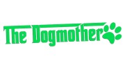 naklejka-the-dogmother-zielona-neon.jpg