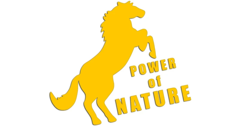 naklejka-power-of-nature-zolta.jpg