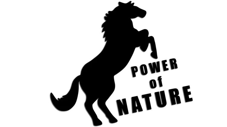 naklejka-power-of-nature.jpg