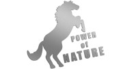 naklejka-power-of-nature-srebrna.jpg