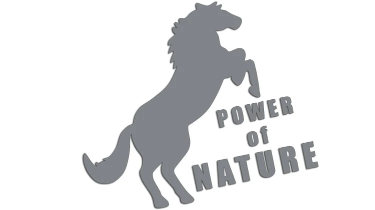 naklejka-power-of-nature-szara.jpg