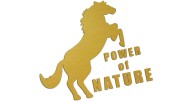naklejka-power-of-nature-zlota.jpg