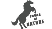 naklejka-power-of-nature-grafitowa.jpg