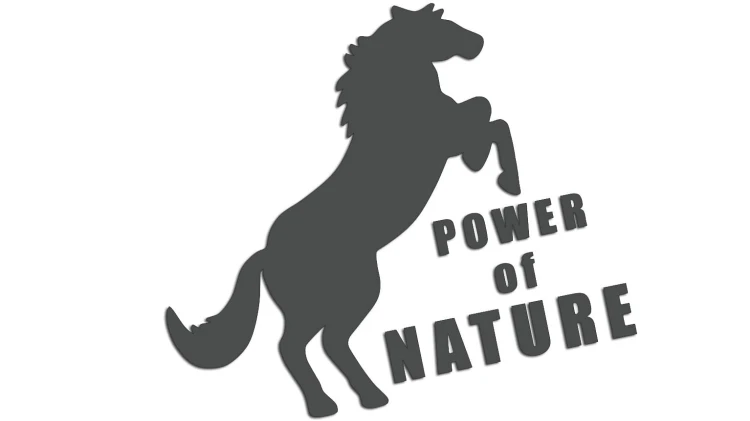 naklejka-power-of-nature-grafitowa.jpg
