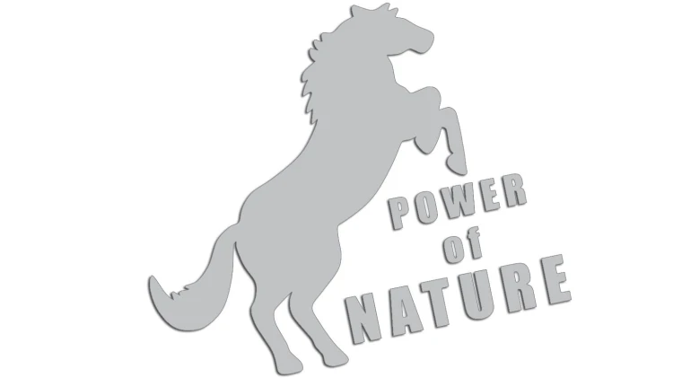 naklejka-power-of-nature-jasny-szary.jpg