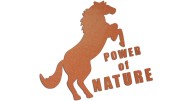 naklejka-power-of-nature-miedziana.jpg