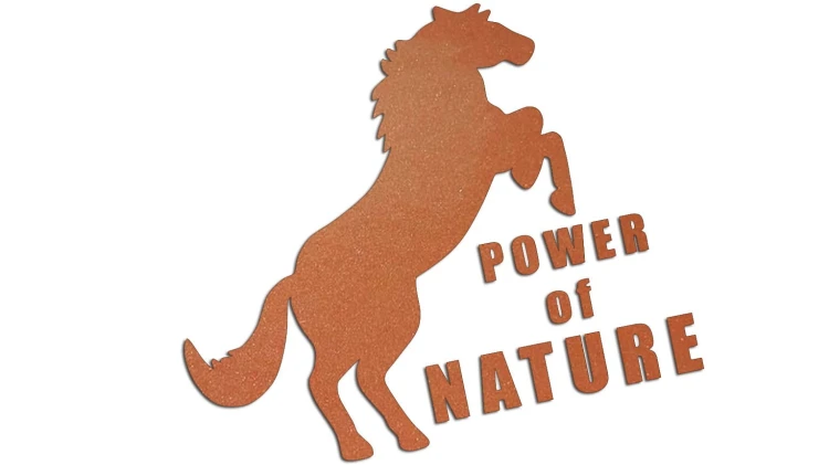 naklejka-power-of-nature-miedziana.jpg