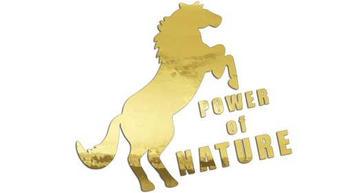 naklejka-power-of-nature-zloty-chrom.jpg