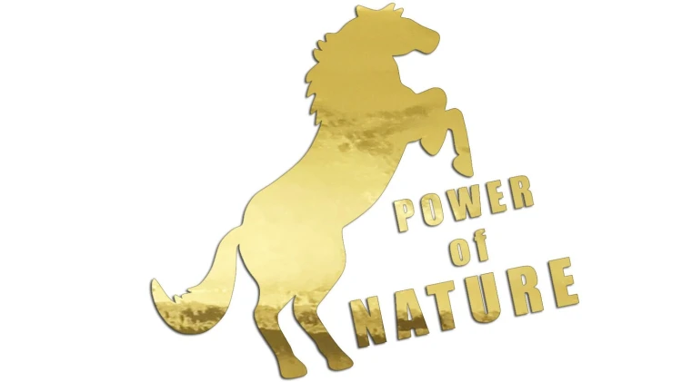 naklejka-power-of-nature-zloty-chrom.jpg