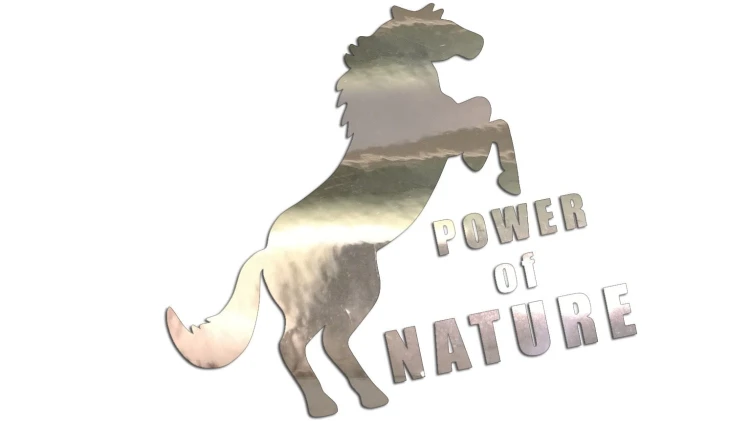 naklejka-power-of-nature-chrom.jpg